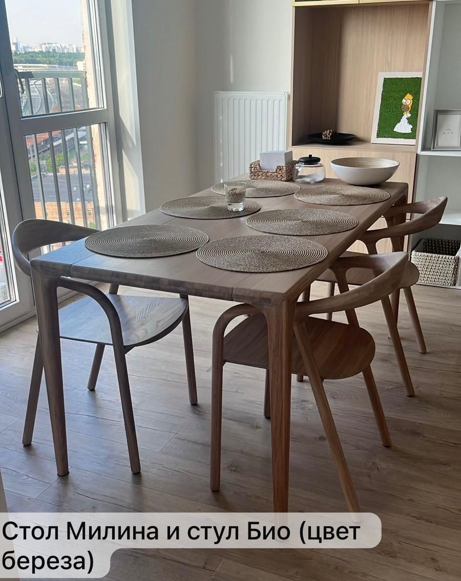 Стул «Био» №19